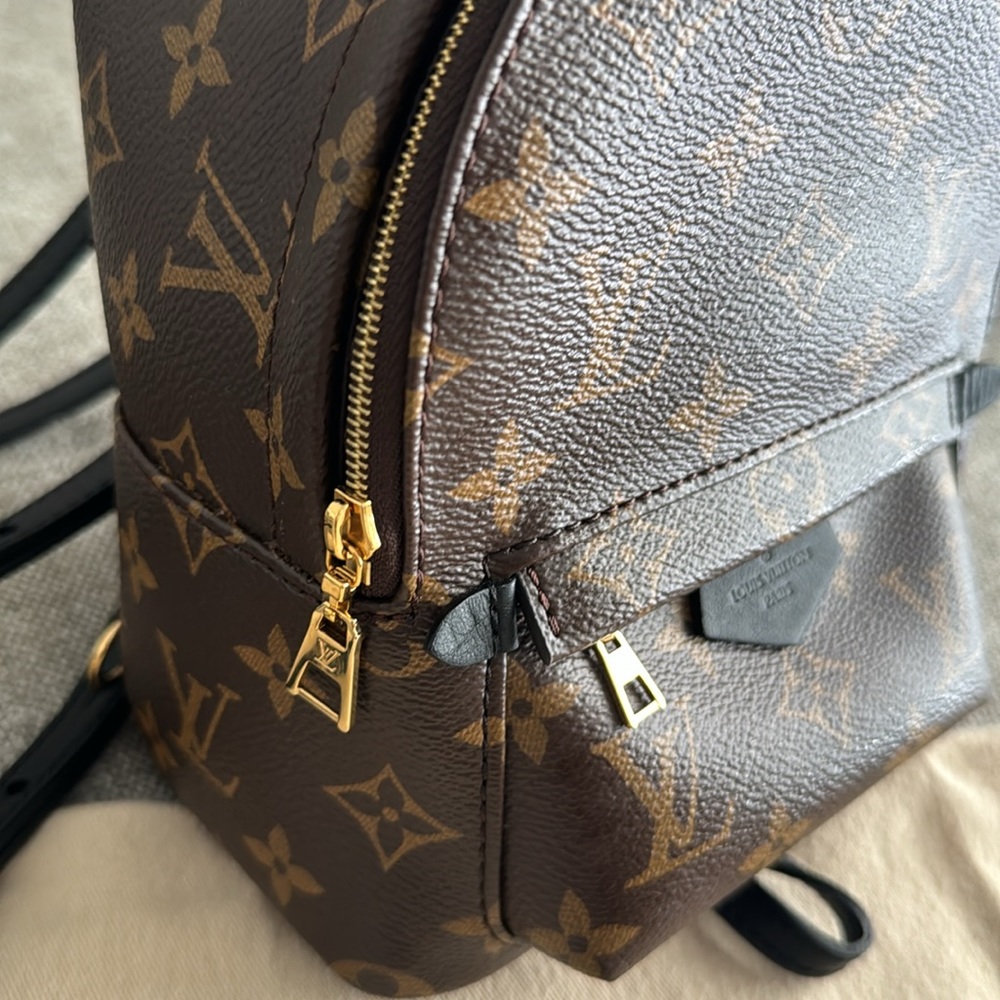 Louis Vuitton Palm Springs Mini Backpack - Picture 2 of 11